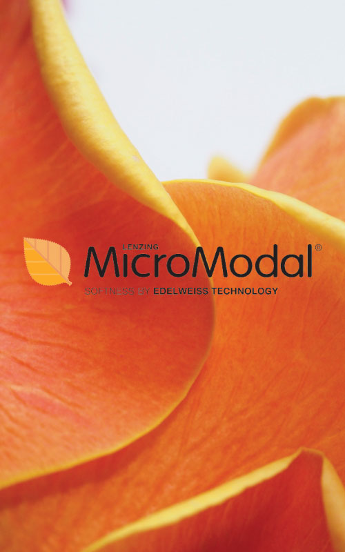 MicroModal